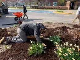 Full Landscaping Services
